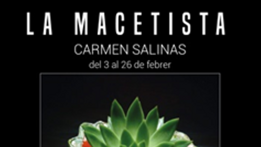 Exposición: La Macetista