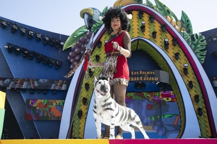 24.02.19. Las Palmas de Gran Canaria. Carnaval 2019. Concurso Carnaval Canino 2019. Eva León, presenta a Milka, con la fantasía " Desde la selva más salvaje llegan Milka y Eva a disfrutar del Carnaval Carioca. Foto Quique Curbelo