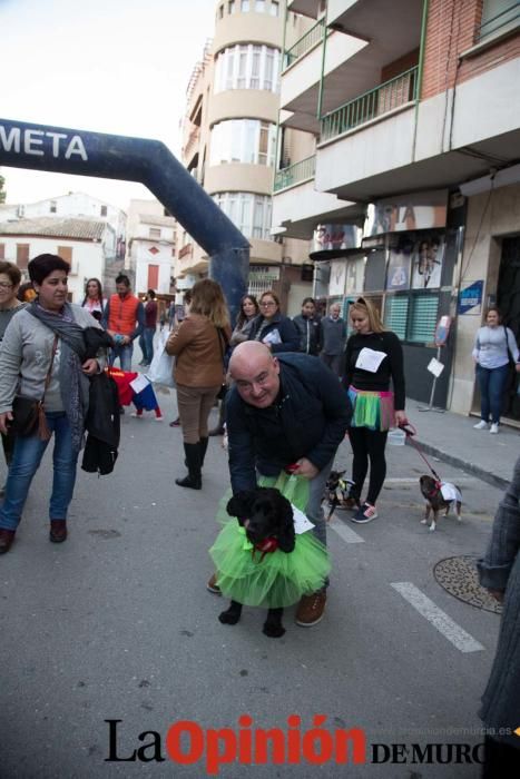 II Carnavaton en Cehegín