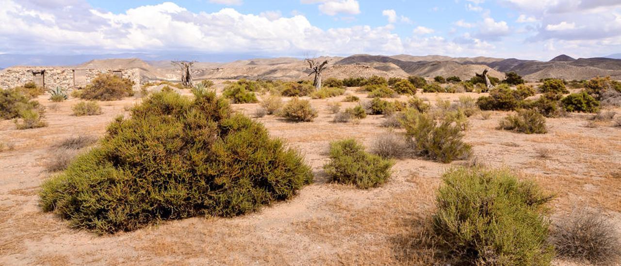 Almería, con el desierto de Tabernas, es de las zonas más áridas.