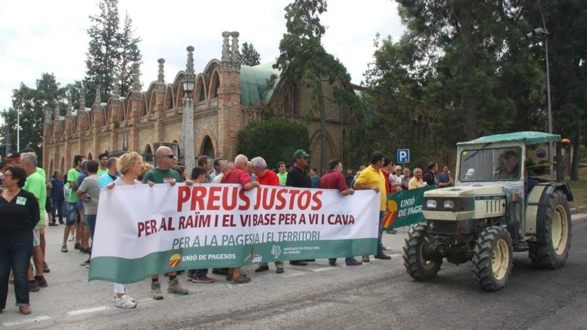 Protesta de los viticultores catalanes por el precio de la uva en la jornada de huelga que han llevado a cabo.