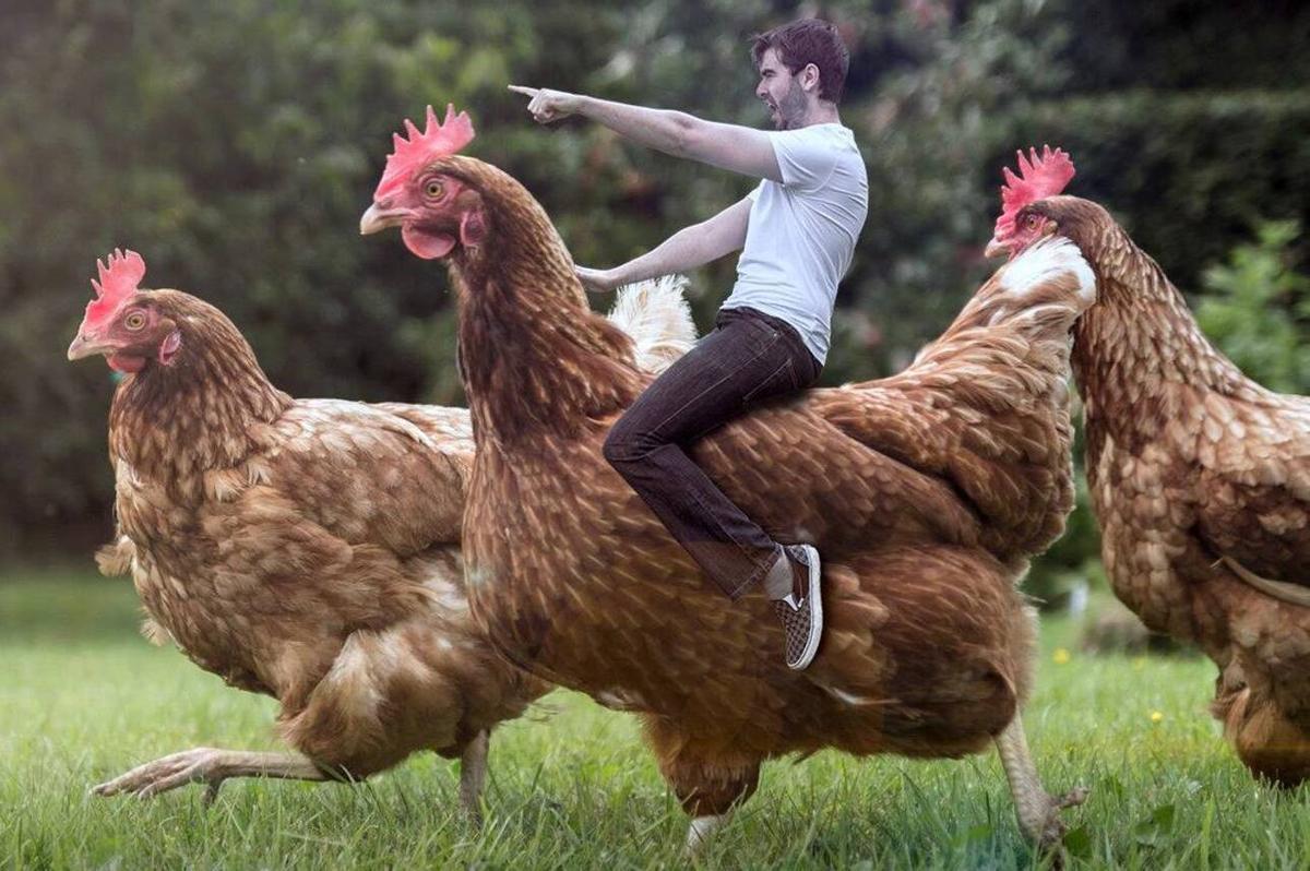 "Montar un pollo" llevado a la literalidad