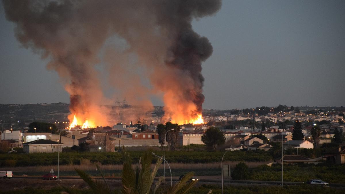 Arde un huerto de palmeras en la carretera que une Orihuela y Bigastro