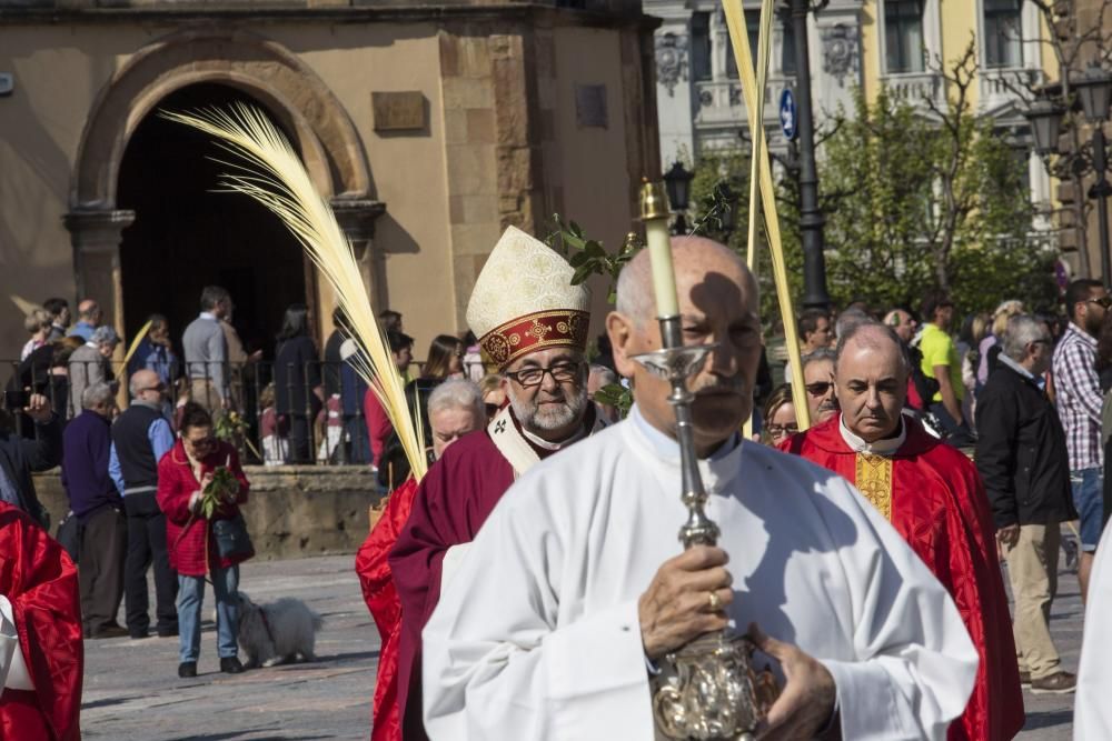 Bendición de ramos en la plaza de la Catedral