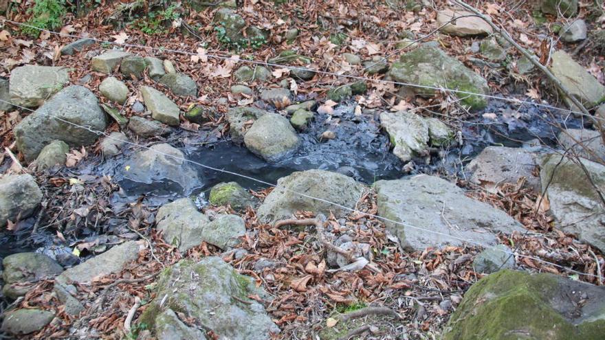 Les anàlisis al torrent de Sant Joan les Fonts detecten hidrocarburs al subsòl