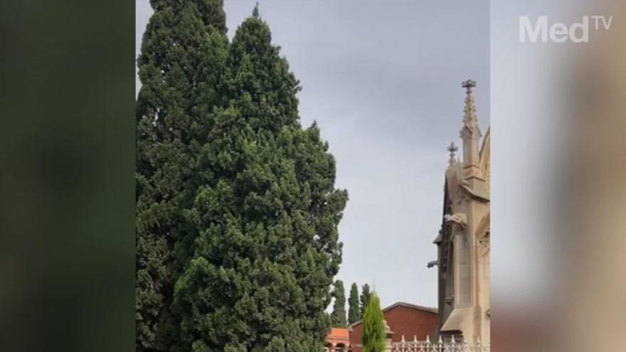 Música En El Cementerio