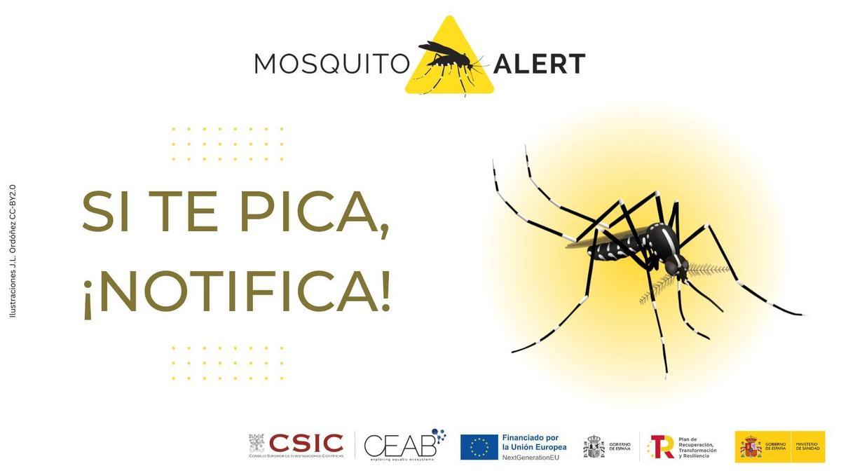 Mosquito Alert