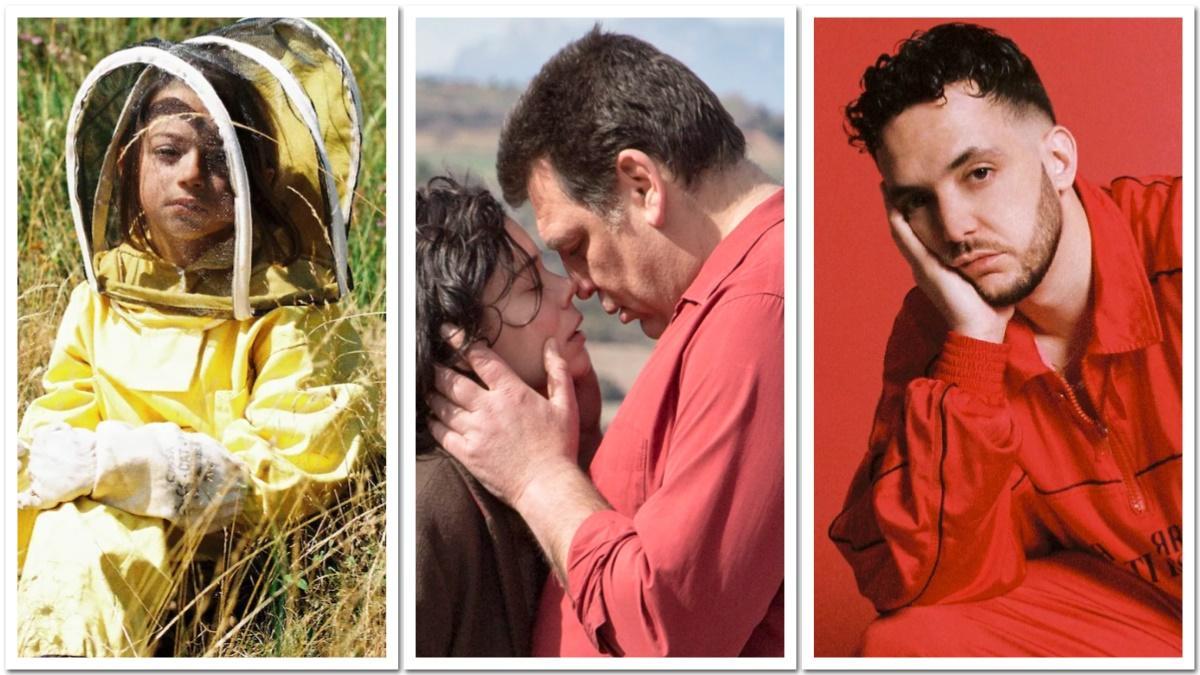 Tres de las películas nominadas: '20.000 especies de abejas', 'Un amor' y 'Esta ambición desmedida'.