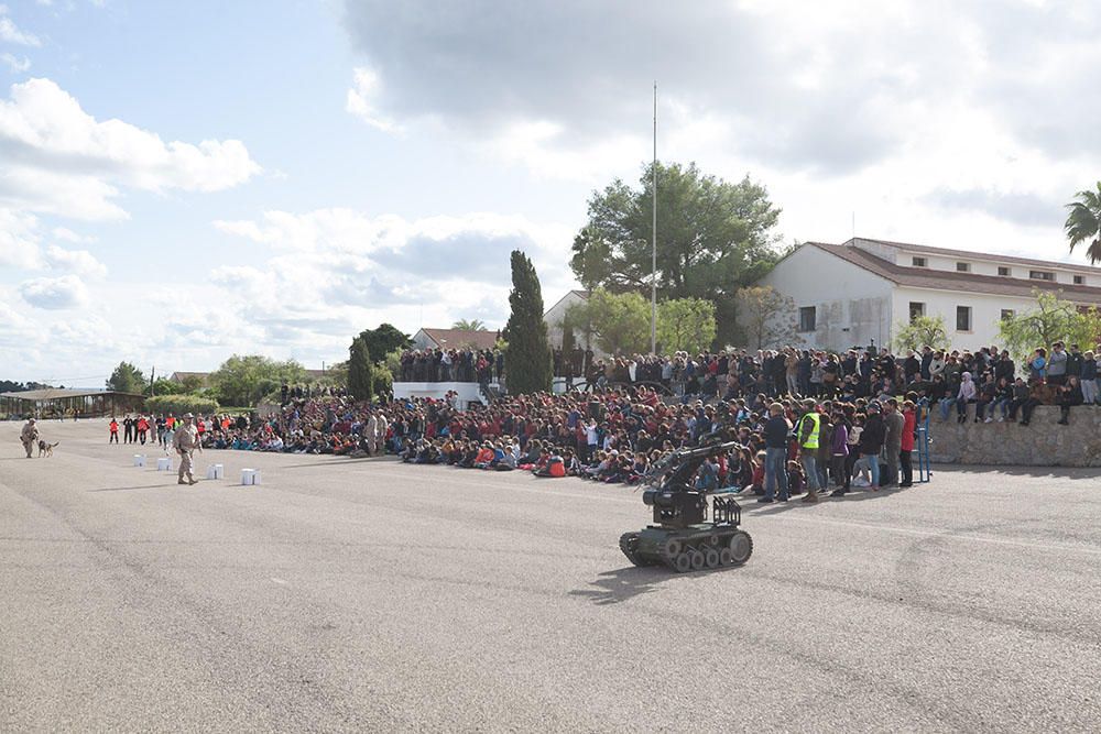 La Infantería de Marina toma Ibiza