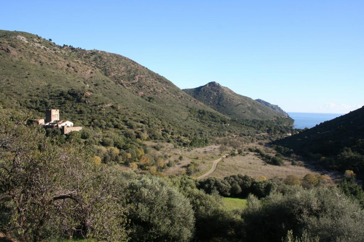 Una zona del cap de Creus afectada por el incendio de 2021.