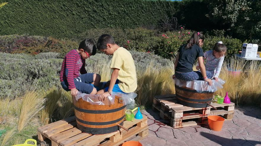 &quot;A por uvas&quot; regresa al Museo del Vino de Morales de Toro