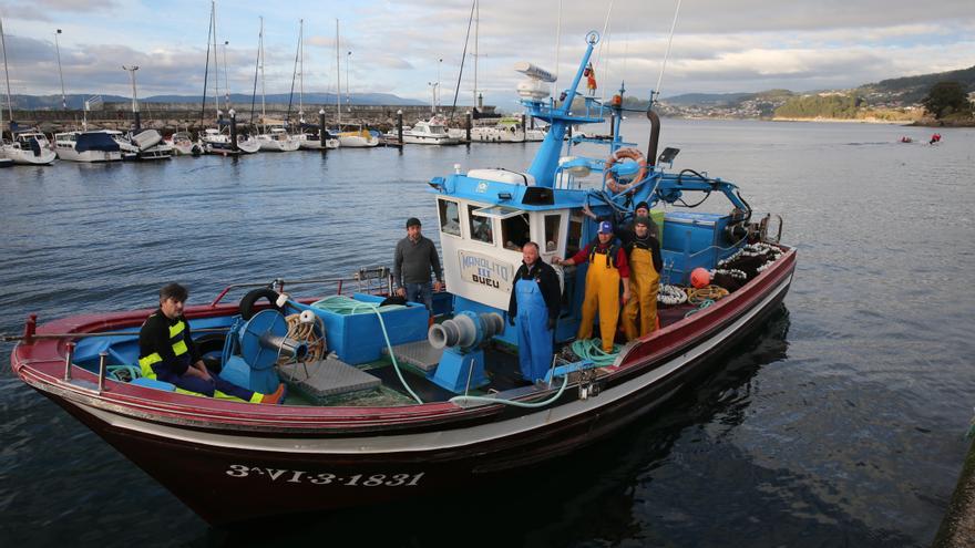 Galicia vuelve a exportar más sardina de la que compra por primera vez en diez años