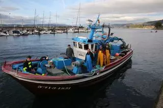 Galicia vuelve a exportar más sardina de la que compra por primera vez en diez años