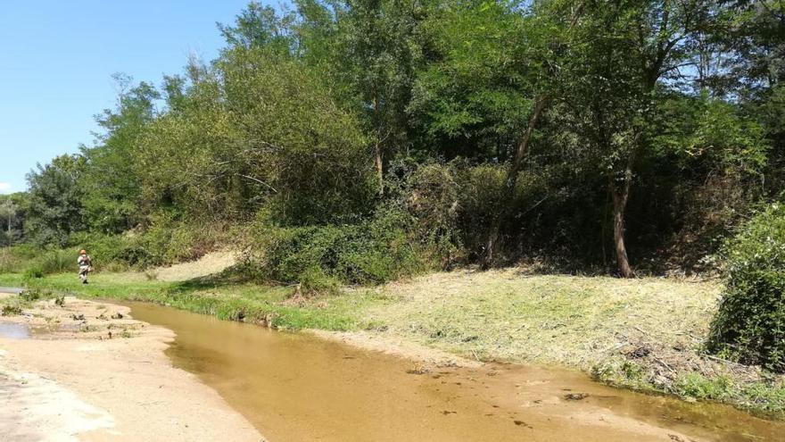 Comencen els treballs de restauració de la Riera de Santa Coloma