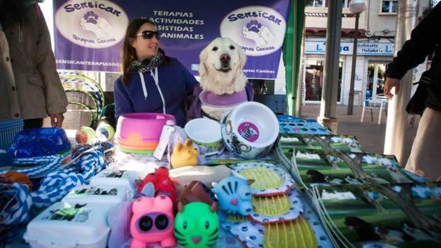 Animales en plaza Manila