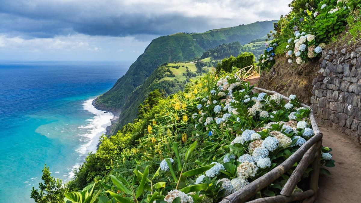 Azores, hortensias