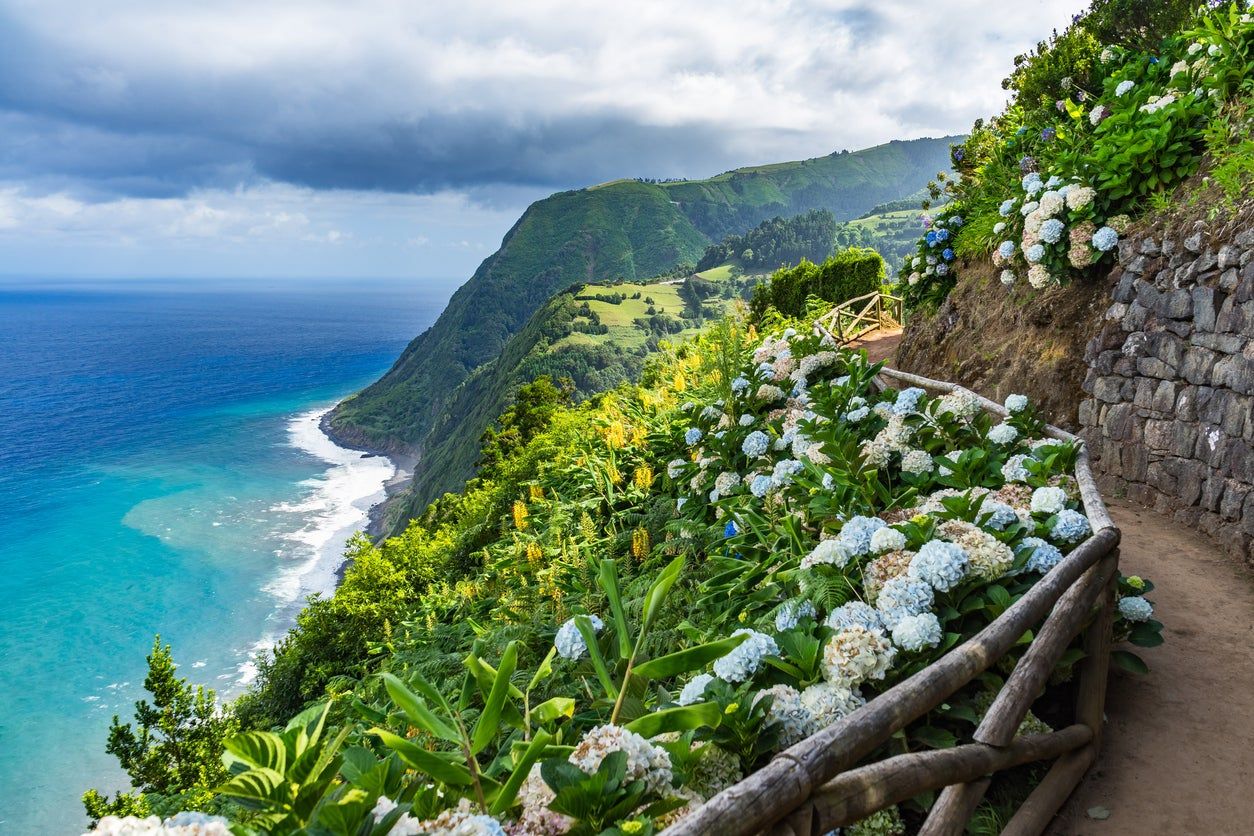 Las Azores se tiñen de azul, y no vamos a perdernos el espectáculo de las  hortensias - Viajar