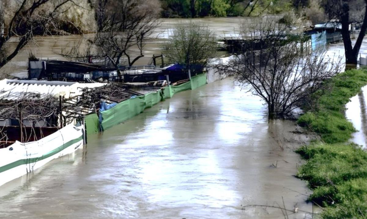 La crecida del río Jarama amenaza a personas y animales de chamizos ilegales en San Fernando.