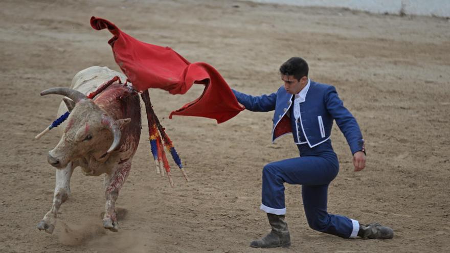 Rajoy lleva al Constitucional los toros sin sangre de Baleares