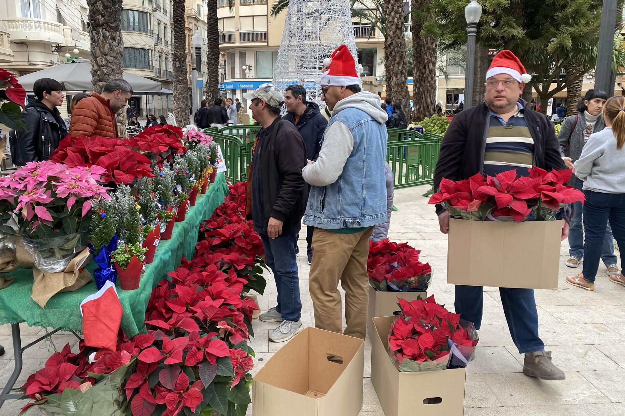 Mercadillo del Dia de la Discapacidad en la Glorieta