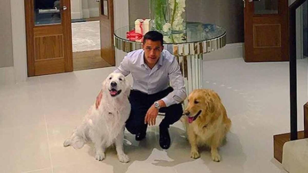 Alexis Sánchez, junto a sus dos perros