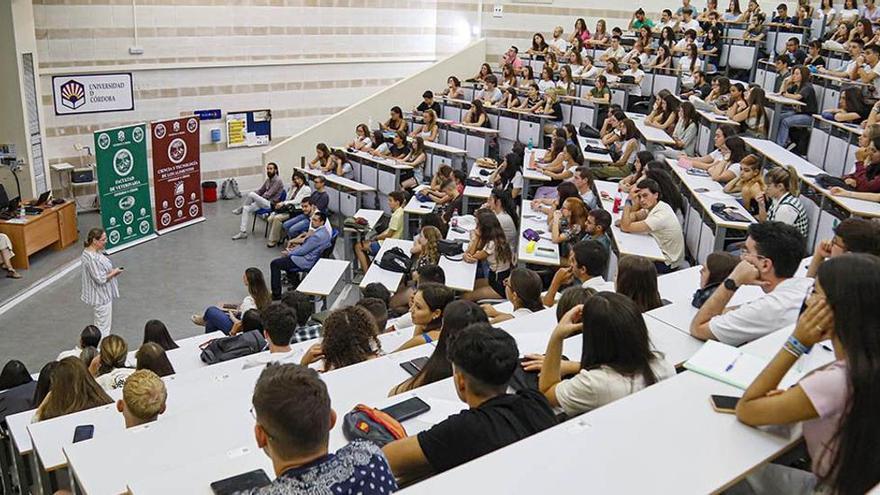 Estas son las tasas en las universidades de Andalucía para el curso 2023-24