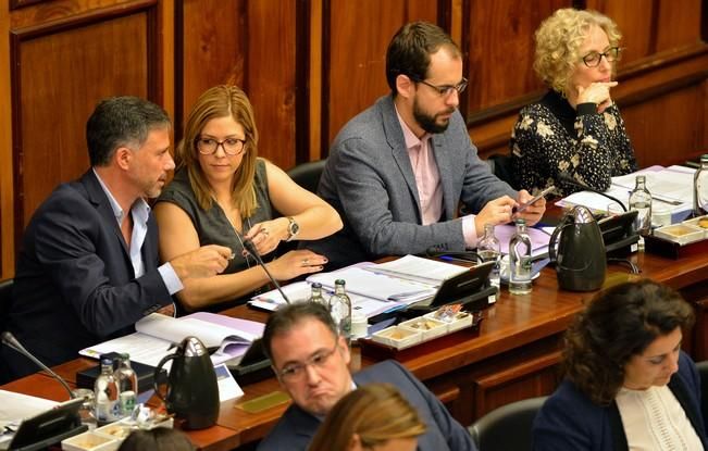 PLENO CABILDO TOMA POSESIÓN RUTH LEÓN MIGUEL ...