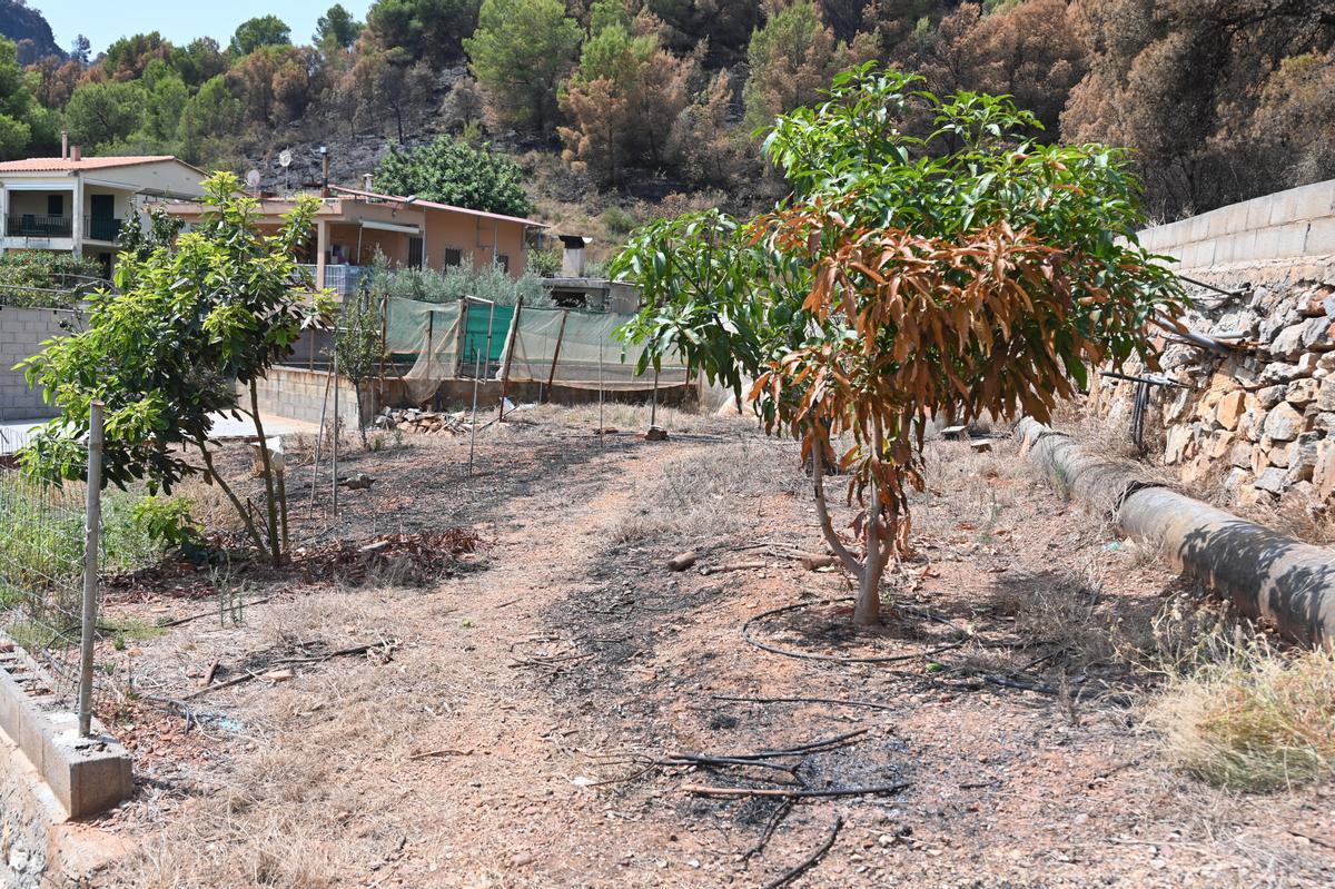 Las fotografías de Kmy Ros del incendio de la Vall d'Uixó.