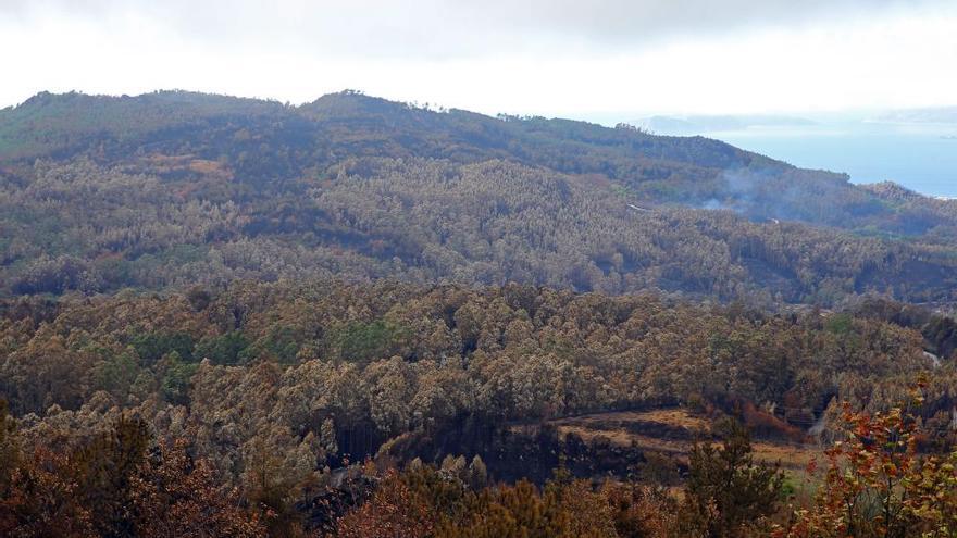 Incendios en Vigo | Monte Alba y Cepudo, tras el fuego