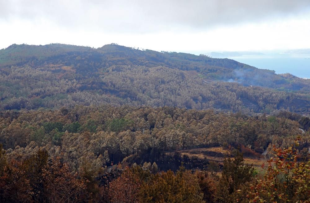 Incendios en Vigo | El Monte Alba y el Cepudo