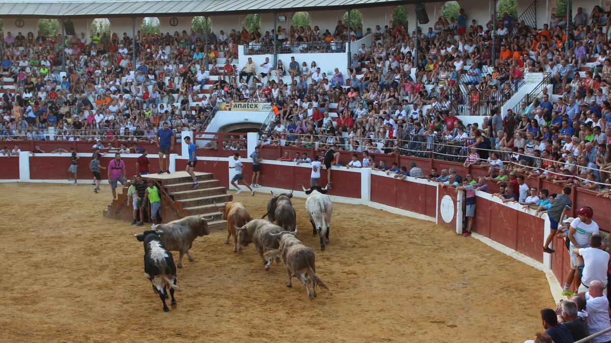 Un festejo en la plaza de toros de Ondara.
