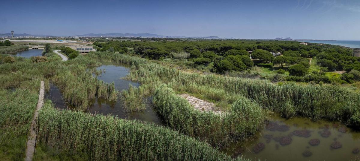 La compensació ambiental és similar a la que no es va complir fa 26 anys La compensació ambiental és similar a la que no es va complir fa 26 anys