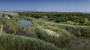 La compensació ambiental és similar a la que no es va complir fa 26 anys