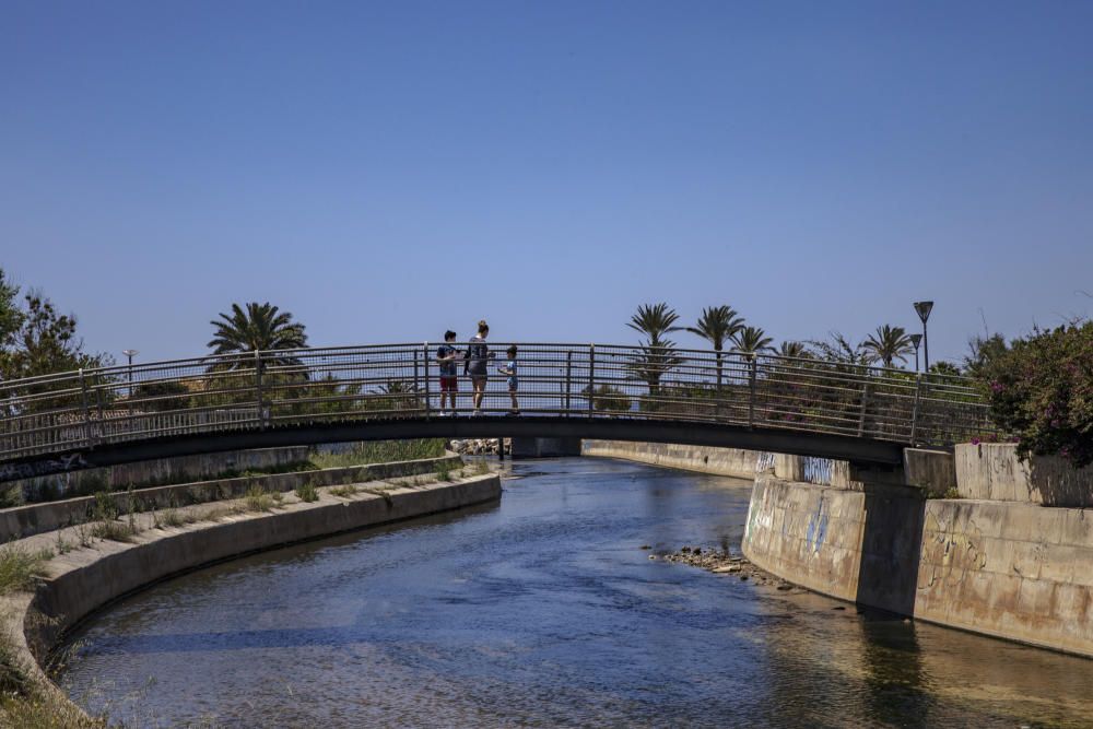 Los parques y las zonas verdes de Palma reabren con “normalidad”