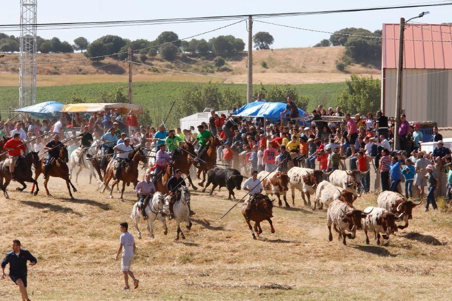 Encierro Guarrate