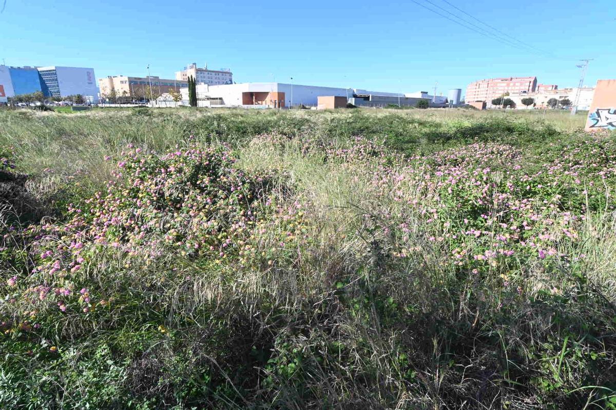Foto de uno de los solares que están sin edificar y podría albergar la construcción de pisos.