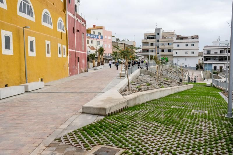 Las Palmas de Gran Canaria. Recorrido por el Corredor Verde de Tamaraceite  | 03/03/2020 | Fotógrafo: José Carlos Guerra