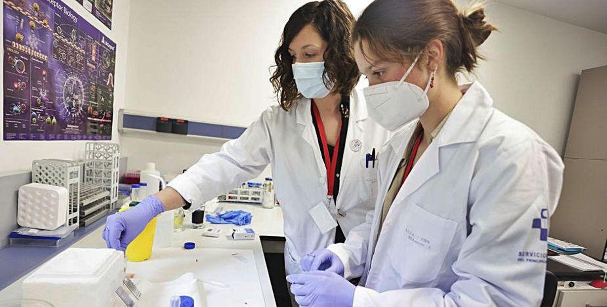 Arriba:; Elena Vidal, Dafne Sanchidrián y Blanca Navarro, en el laboratorio. En el centro, Carmen Huergo, del ISPA, ayuda a Manuel Pujante y a Sara Iglesias a hacer una célula con plastilina. Sobre estas líneas, Cristina Martín, del ISPA, trabaja con Blanca Navarro en el laboratorio de Citometría. | Irma Collín