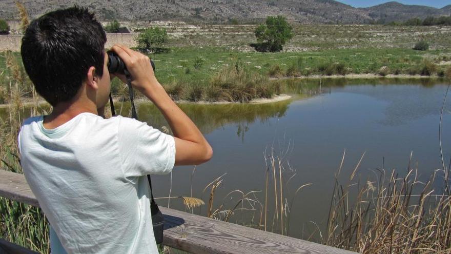 La Albufera de Gaianes, un humedal de interior recuperado