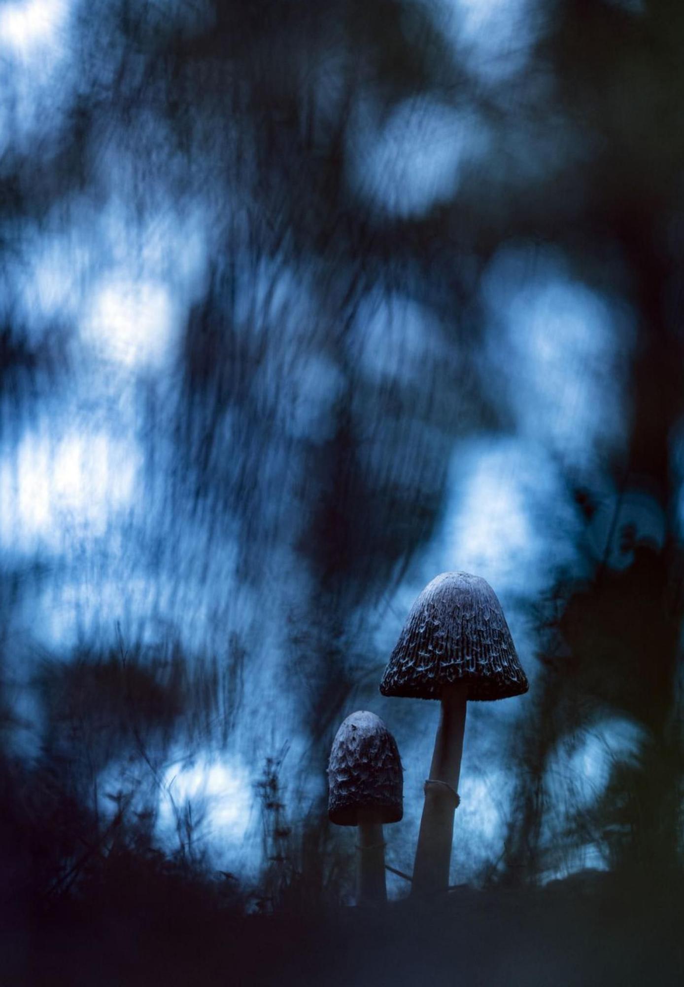 ‘Bolets de tinta’ es la foto premiada de su hermano