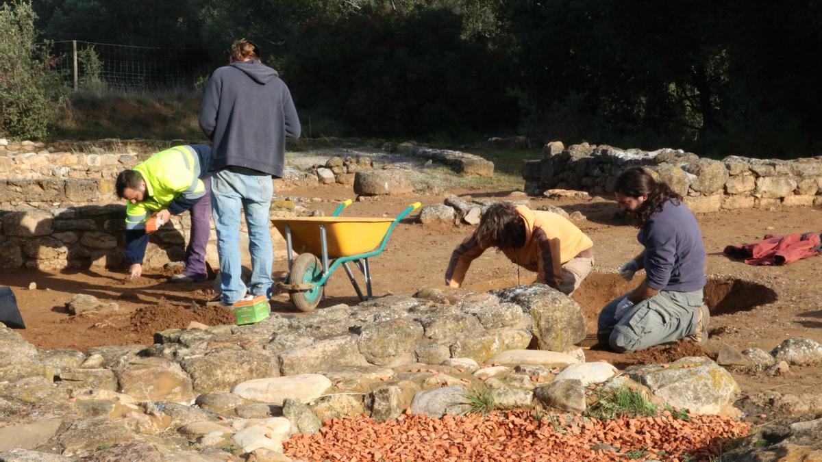 Busquen nous vestigis d'una poció del segle III a.C a Mas Castellar de Pontós, l'únic jaciment on s'ha trobat