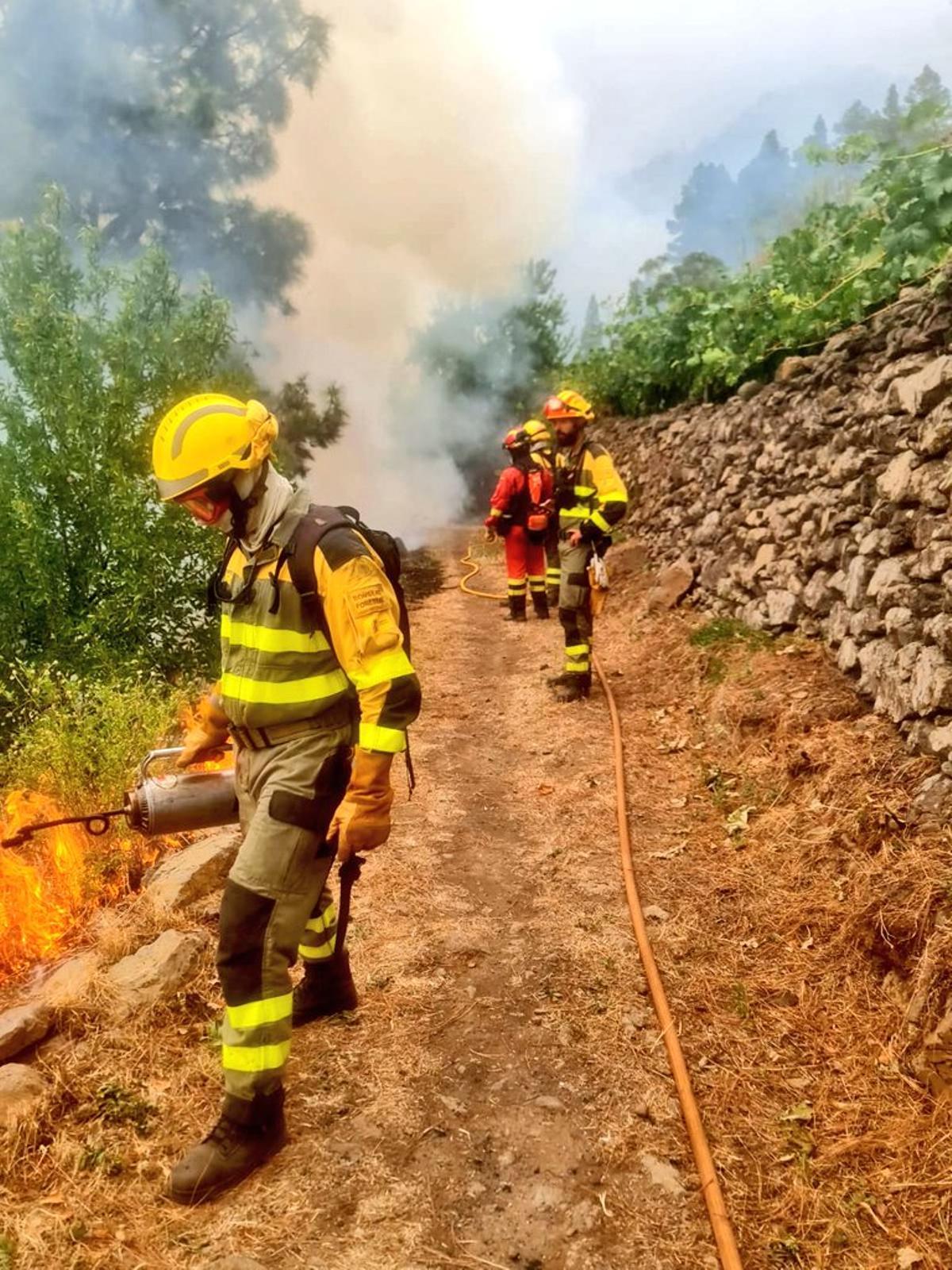 Tercer día de lucha contra el fuego del incendio de La Palmaq