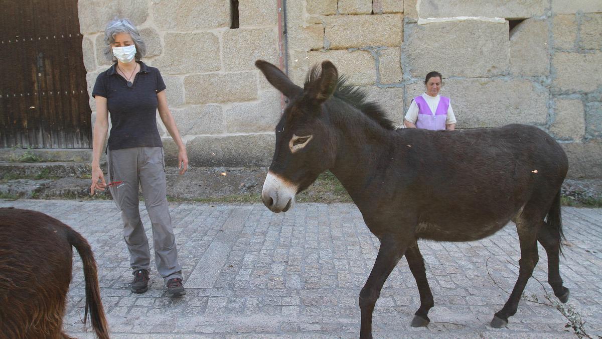 Elsa Pérez, la psicóloga de Andrea, observa el paso de la manada, junto a una vecina. // I. OSORIO