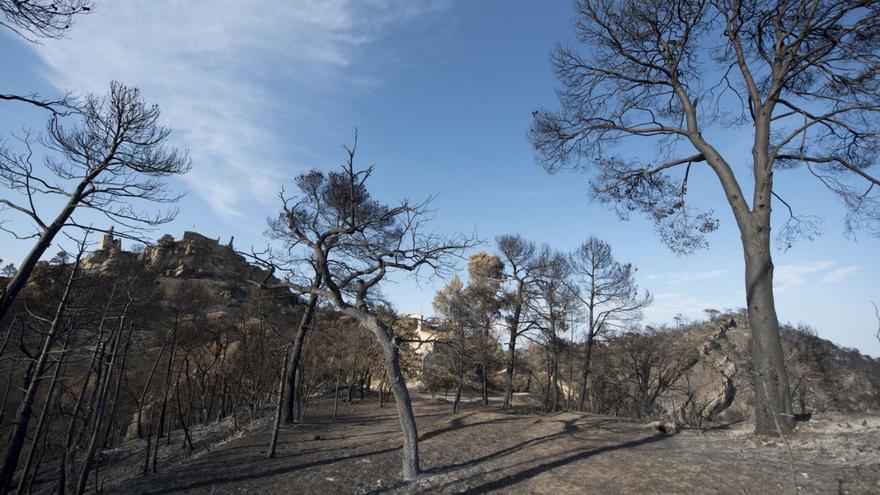 L’infern al bosc es reencarna a Bellprat