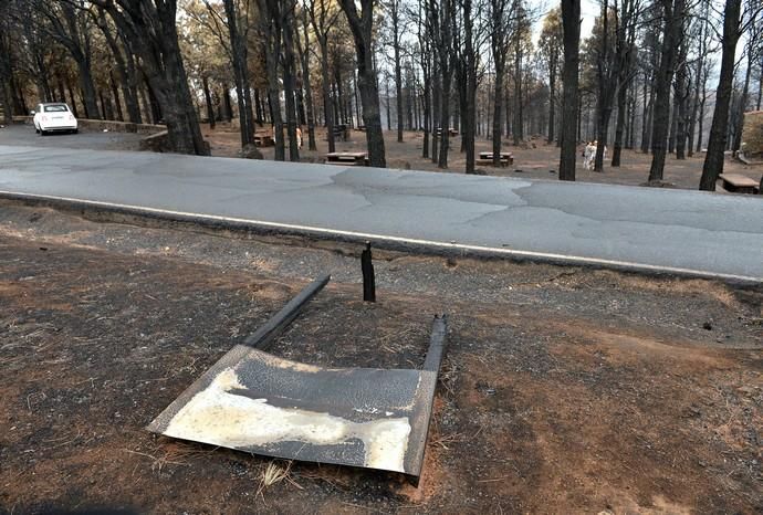 INCENDIO CUMBRE GRAN CANARIA