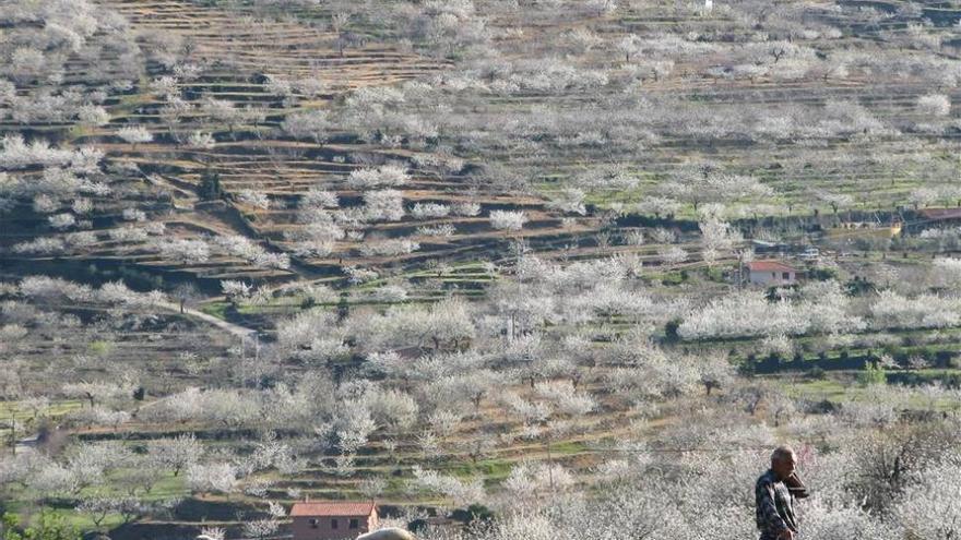 El Valle del Jerte queda finalista en el concurso &#039;Lo Mejor de España&#039;