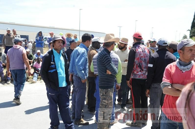 Protesta hortofrutícola en una empresa de El Raal