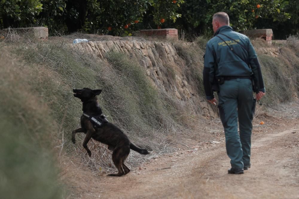 Varios miembros de la Guardia Civil participan en las batida en los alrededores de la localidad valenciana de Manuel.