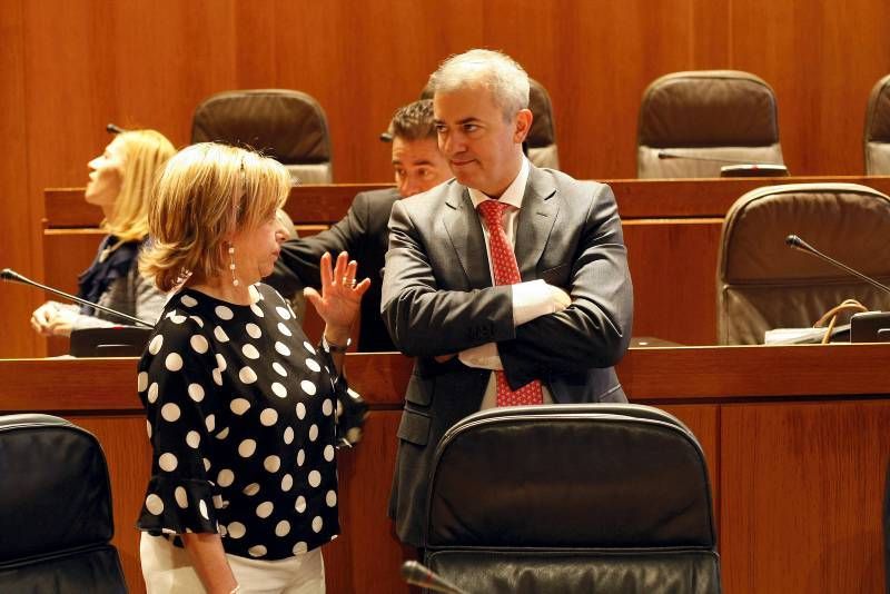 Fotogalería: Pleno en las Cortes de Aragón