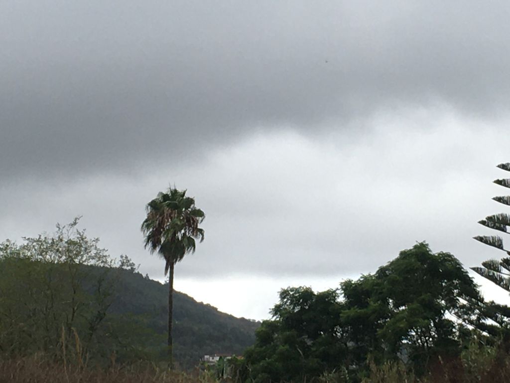 Descenso de temperaturas para el domingo